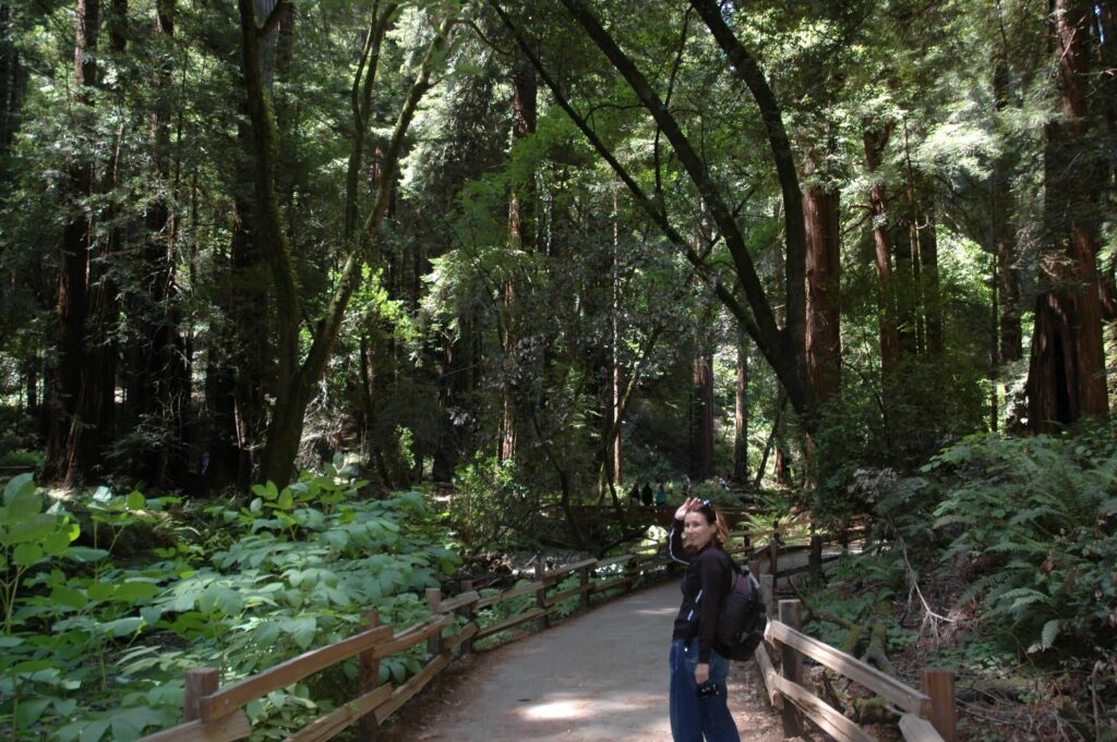 Golden Gate-Muir Woods