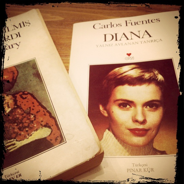 Diana, Carlos Fuentes ile Jean Seberg'in iki ay süren aşkının yirmi beş yılın ardından yazıya dökülmüş hali!