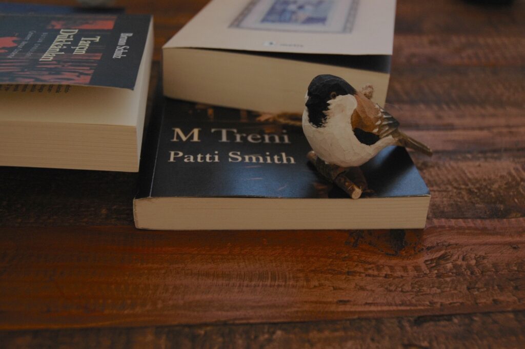 Patti Smith-M Treni