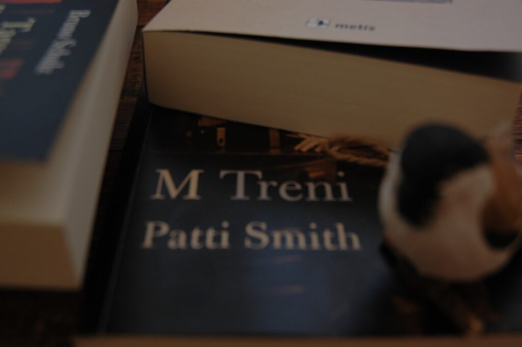 Patti Smith- M Treni
